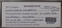 Image Associated With the Occurence